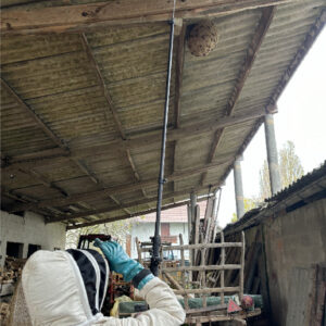 Kit perche frelons asiatiques